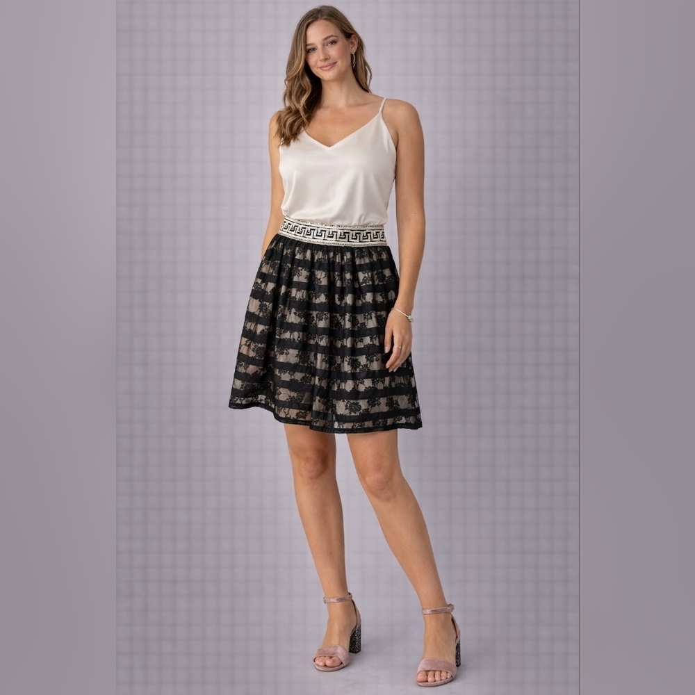 Anthropologie Floreat Charente Striped Lace A-Line Skirt Sz 12
